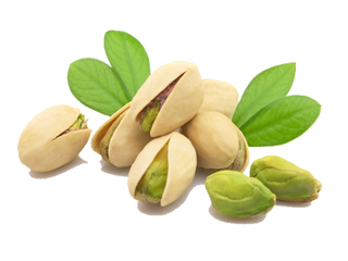 Pistachio PNG HD pngteam.com