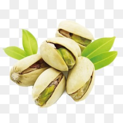 Pistachio PNG HQ Image - Pistachio Png