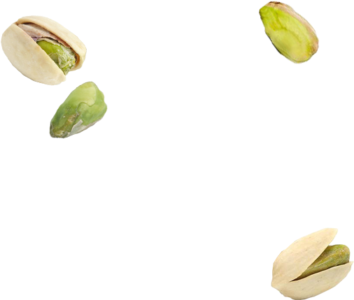 Pistachio PNG HQ Image pngteam.com