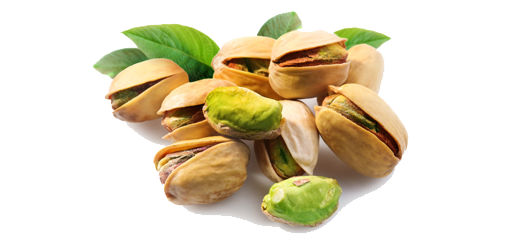 Pistachio PNG HD Images pngteam.com