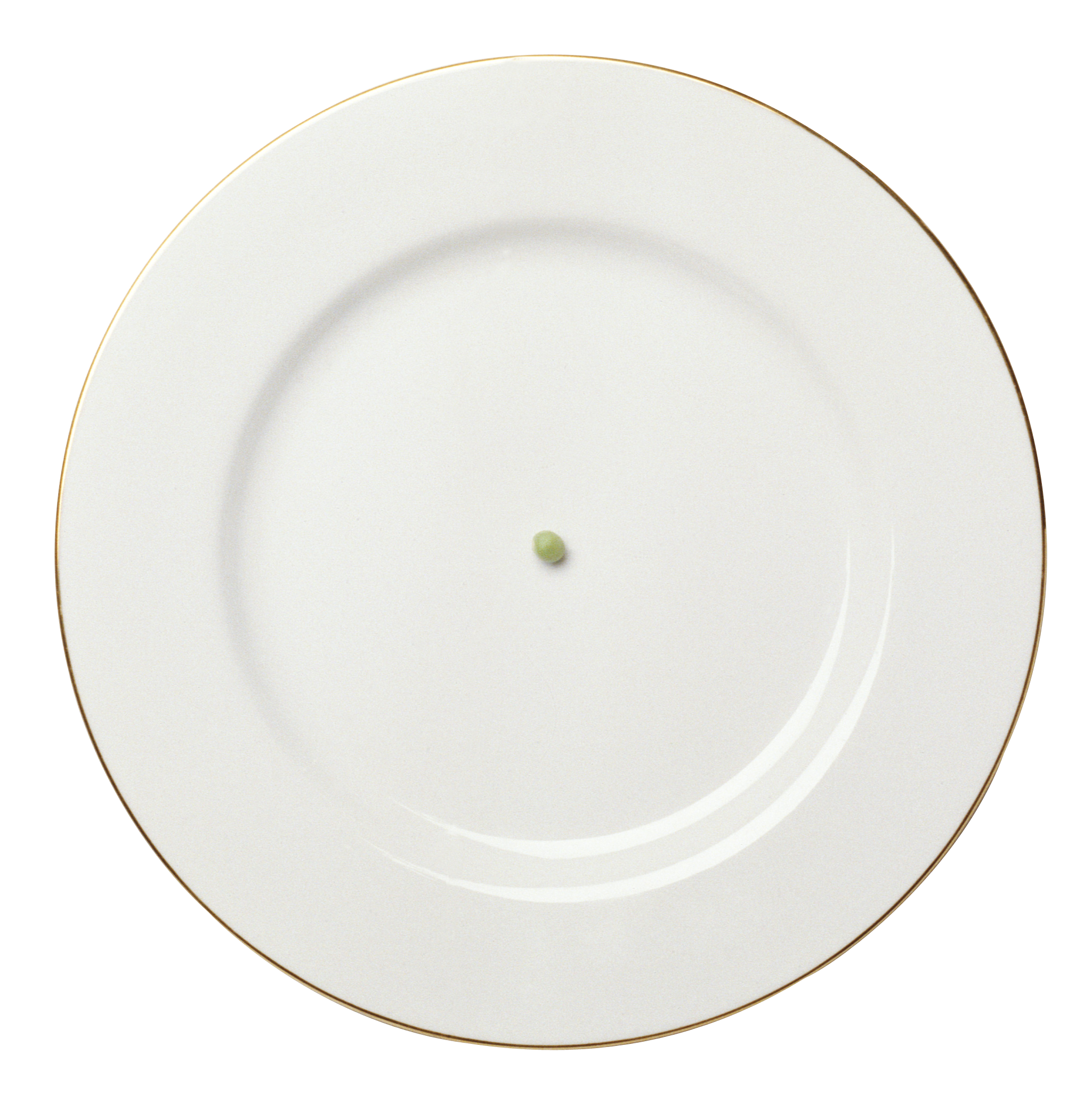 Plate PNG