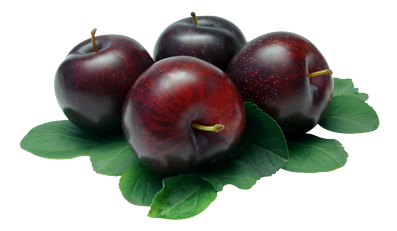Plum Icon PNG HD  - Plum Png