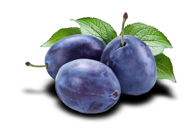 Plum PNG HD and Transparent - Plum Png