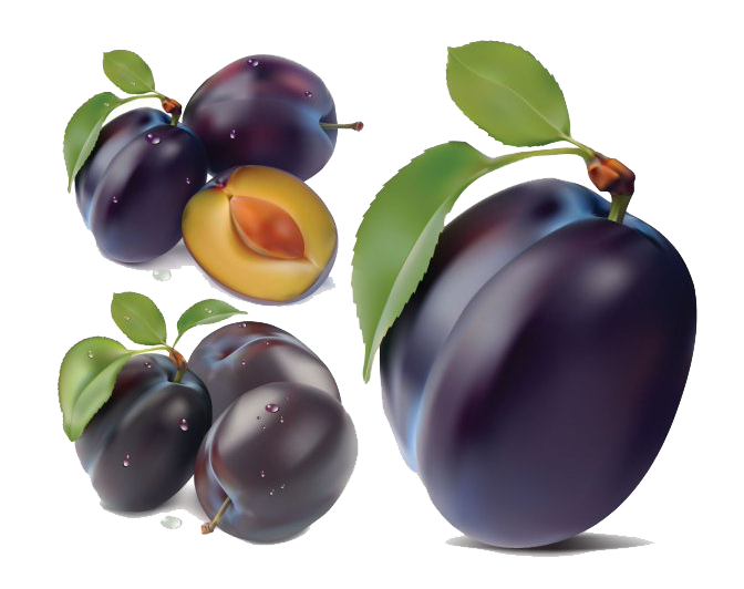 Plum PNG Image in High Definition pngteam.com