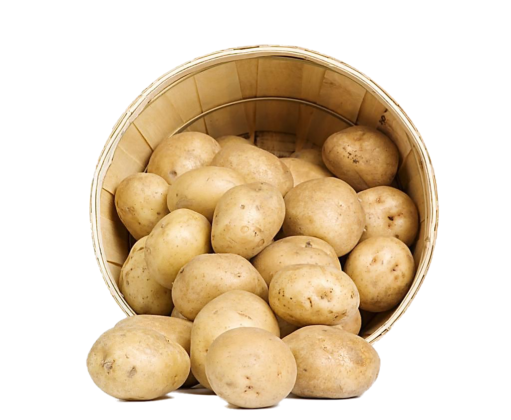 Potato PNG Photo pngteam.com