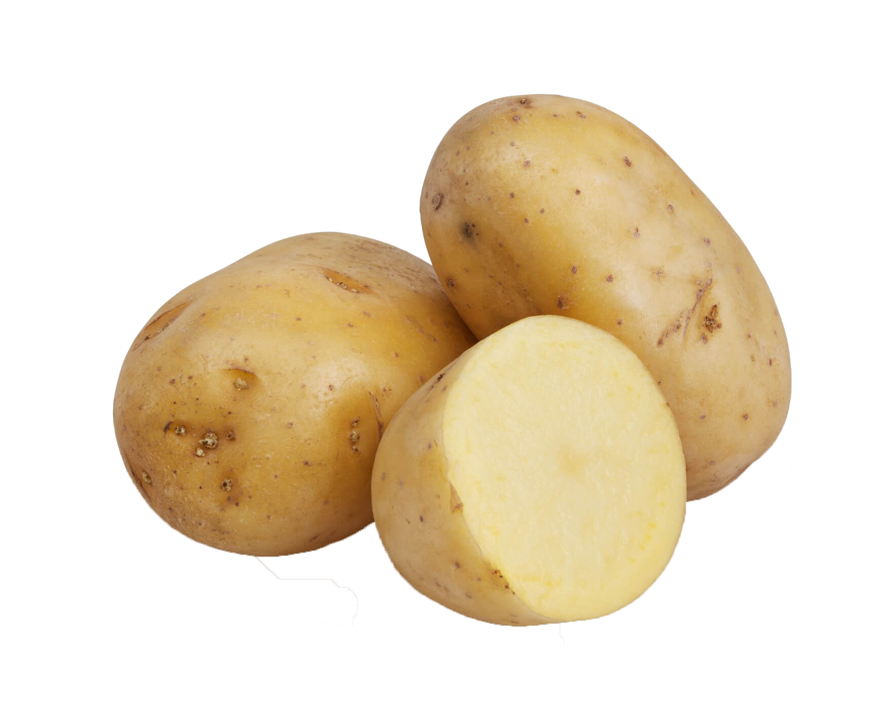 Potato PNG HD and HQ Image pngteam.com