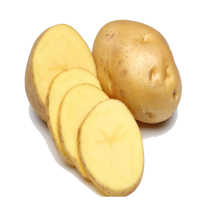 Sliced Potato PNG High Definition Photo Image pngteam.com