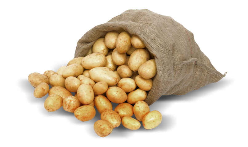 Potatoes PNG HD Image pngteam.com