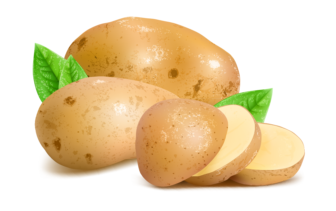 Potato PNG HQ Image pngteam.com