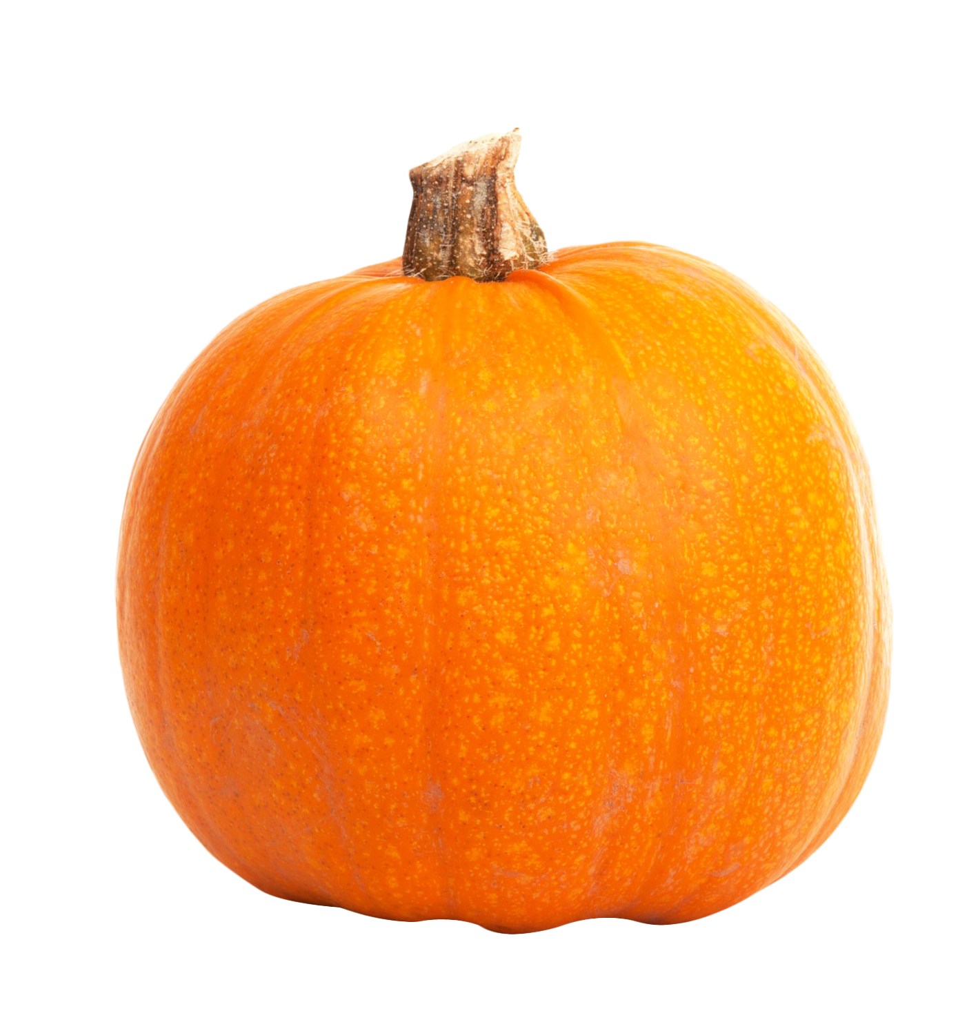 Real Pumpkin PNG Photo - Pumpkin Png