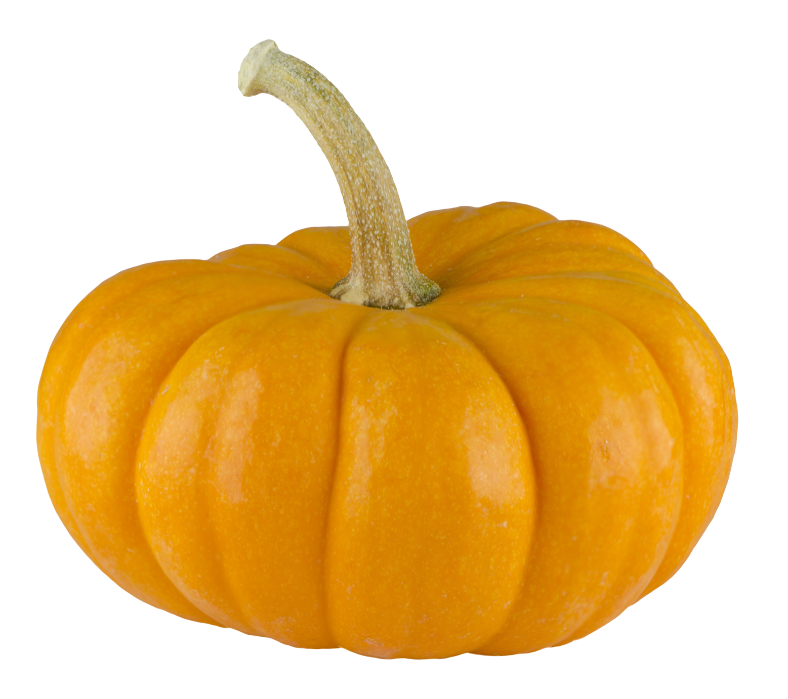 Pumpkin PNG HD and HQ Image pngteam.com