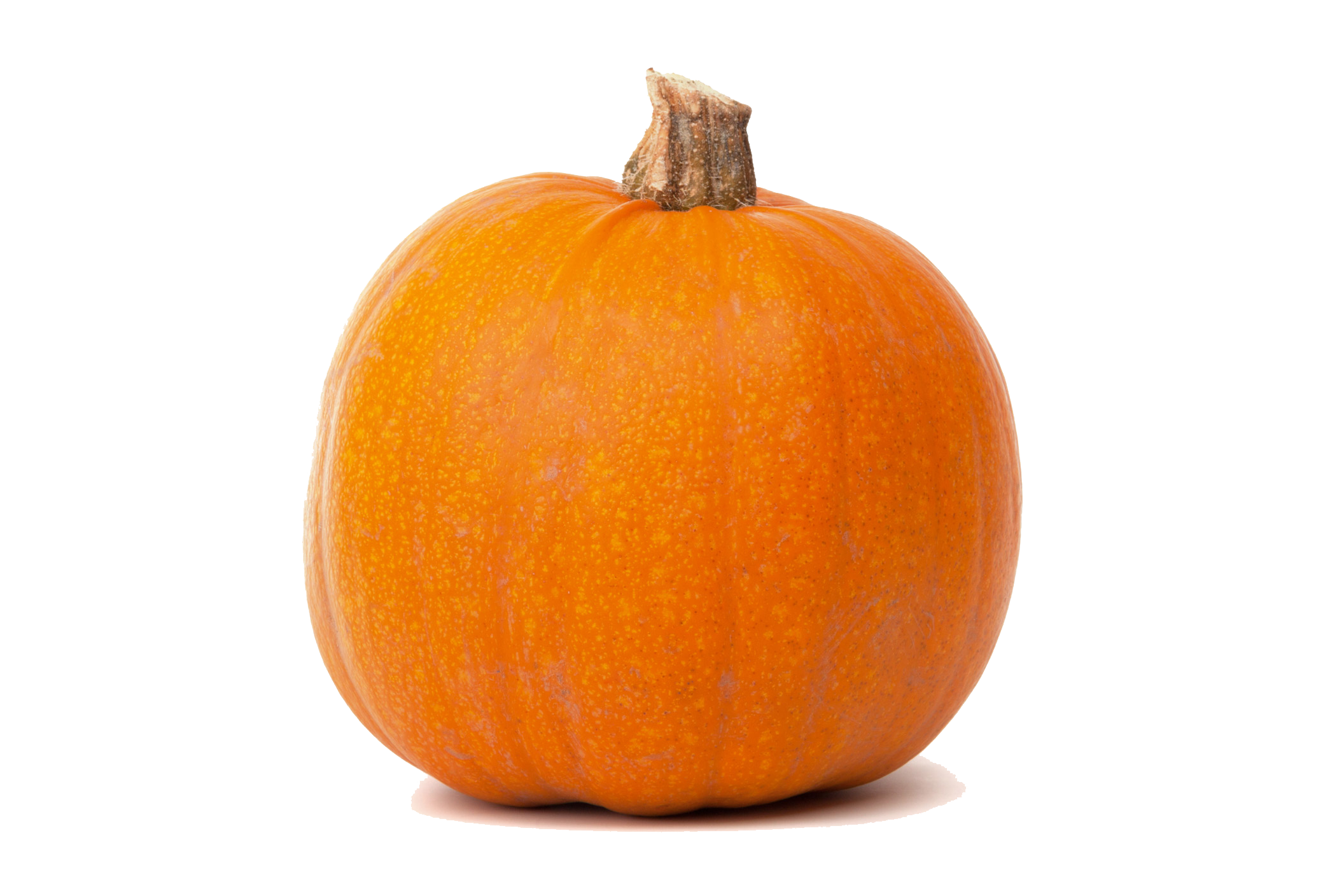 Real Pumpkin PNG HQ