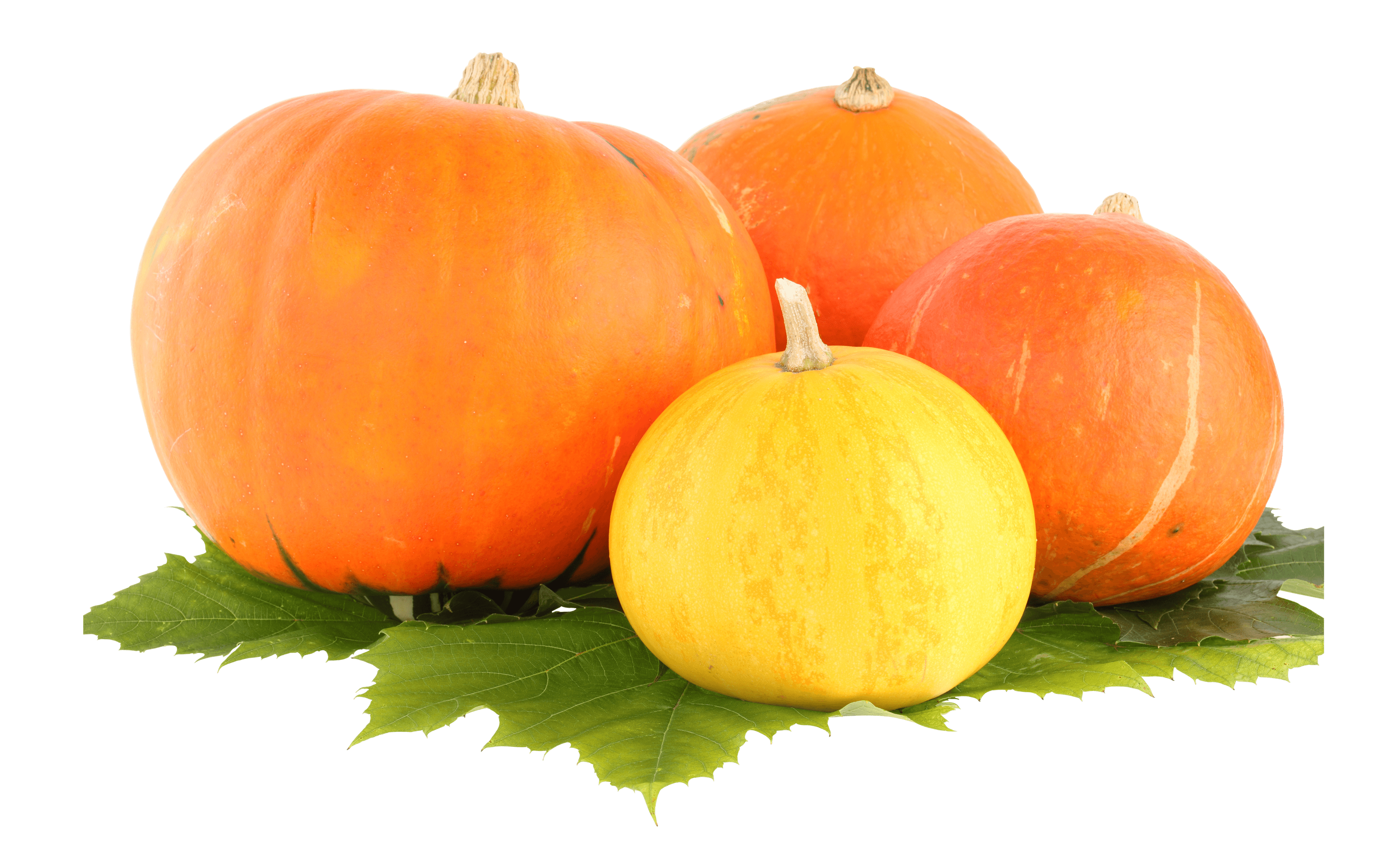 Group of Pumpkins PNG HD - Pumpkin Png