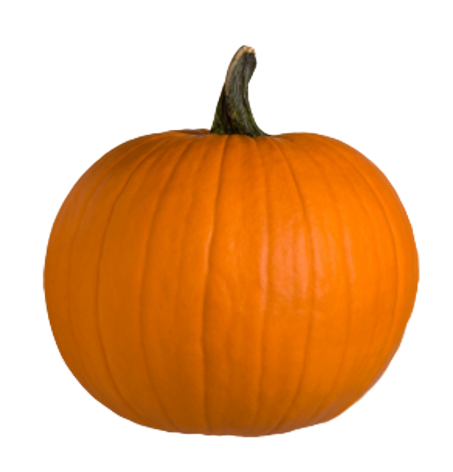 Pumpkin Real PNG Picture pngteam.com