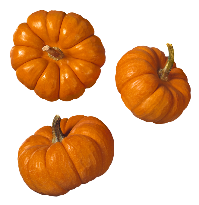 Pumpkins PNG Transparent