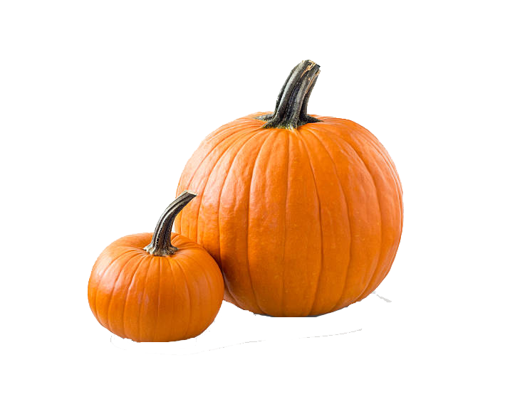 Real Pumpkins PNG High Definition Photo Image - Pumpkin Png