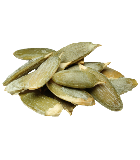 Pumpkin Seeds PNG HD and Transparent pngteam.com