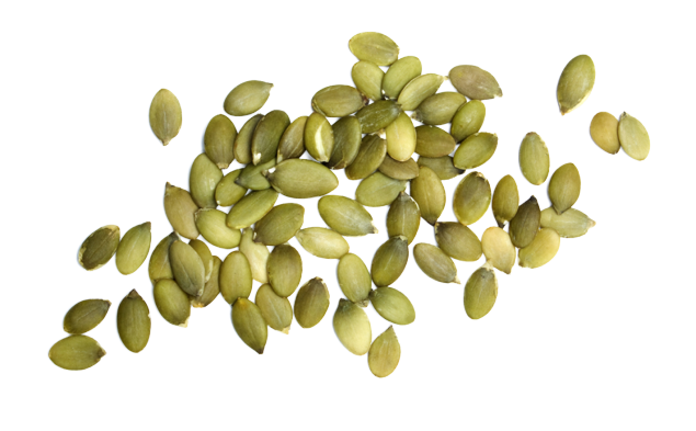 Pumpkin Seeds PNG in Transparent pngteam.com