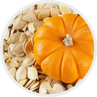 Pumpkin Seeds PNG Transparent pngteam.com