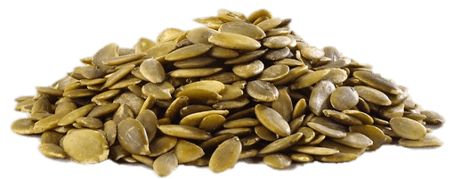 Pumpkin Seeds PNG Image in Transparent pngteam.com