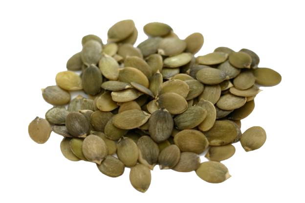 Pumpkin Seeds PNG File pngteam.com