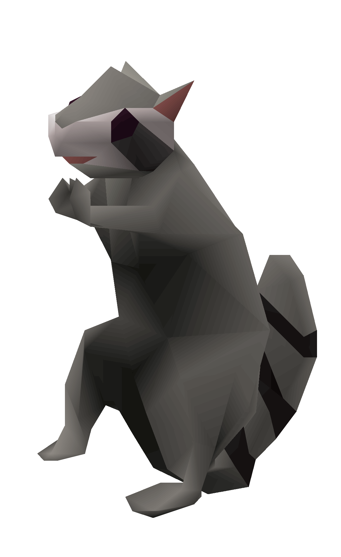 Raccoon 3D Model PNG Image in High Definition Transparent pngteam.com