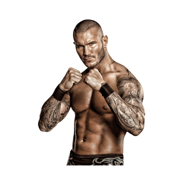 Randy Orton Fighting Pose PNG in Transparent pngteam.com