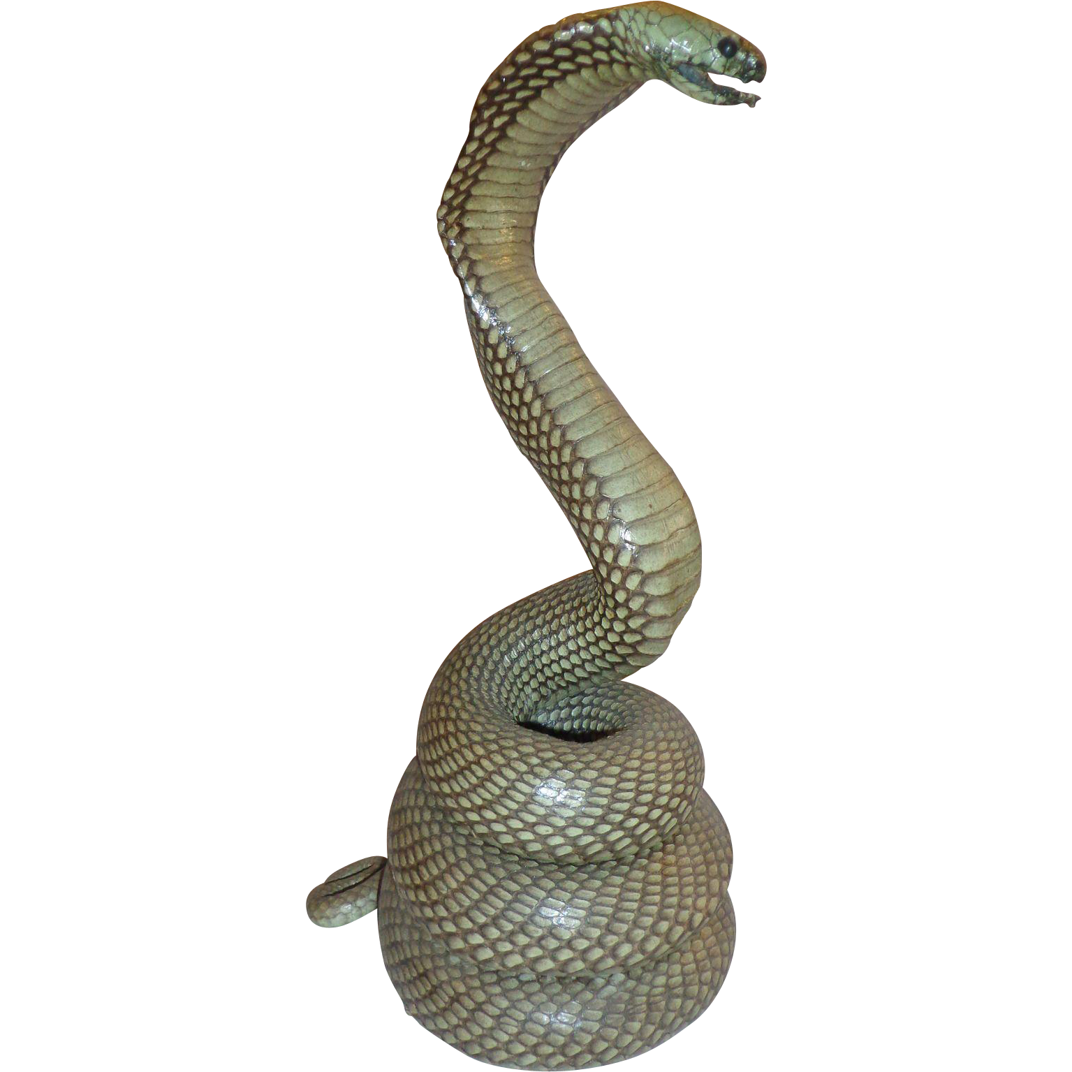 Rattlesnake PNG HD File