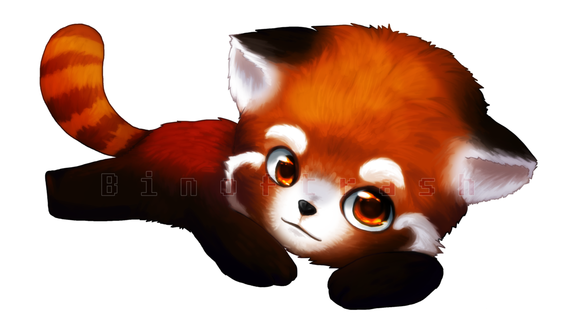 Red Panda Cartoon PNG Transparent Clipart - Red Panda Png