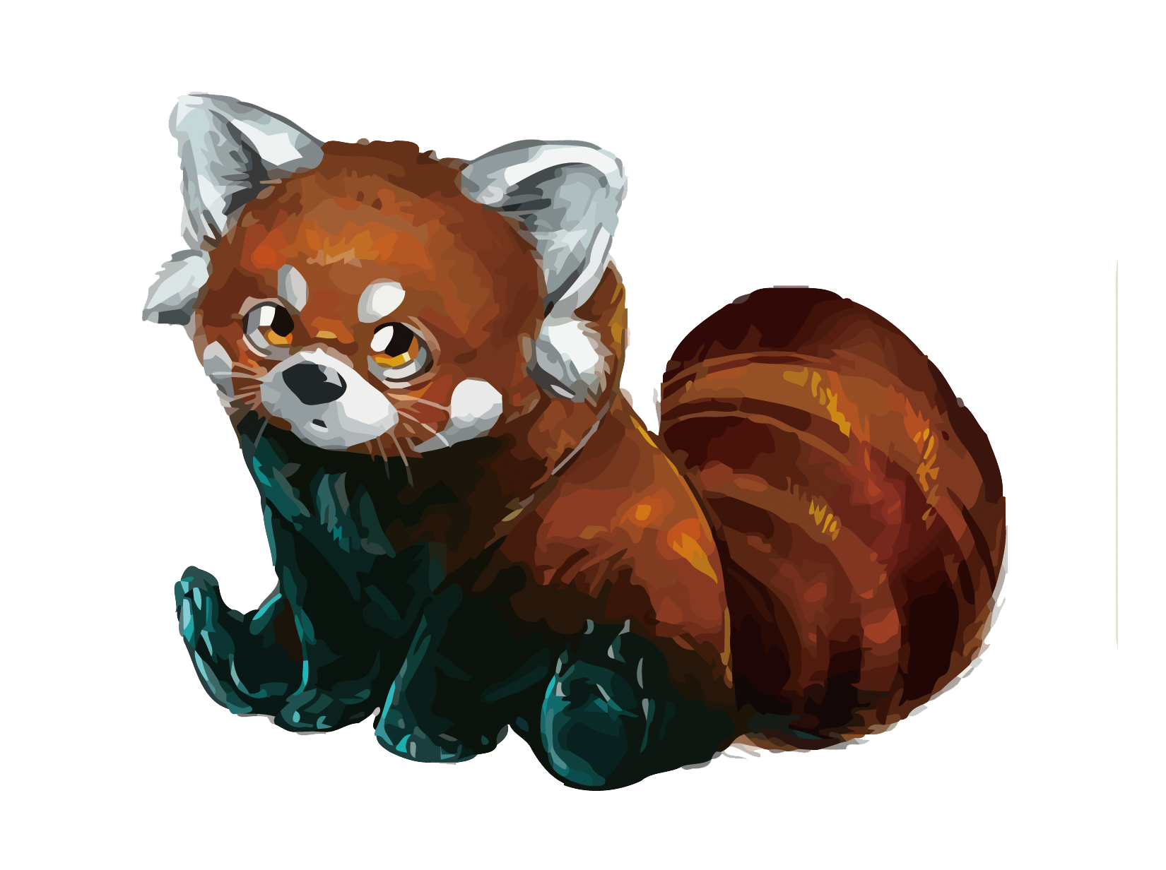 Red Panda PNG in Transparent - Red Panda Png