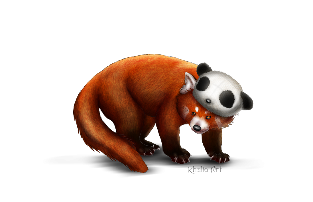 Red Panda PNG Image in High Definition pngteam.com