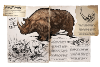Rhinoceros PNG High Definition Photo Image