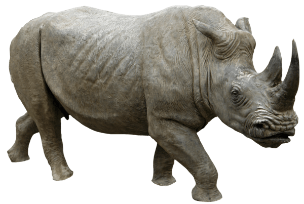 Rhinoceros PNG Image in High Definition pngteam.com