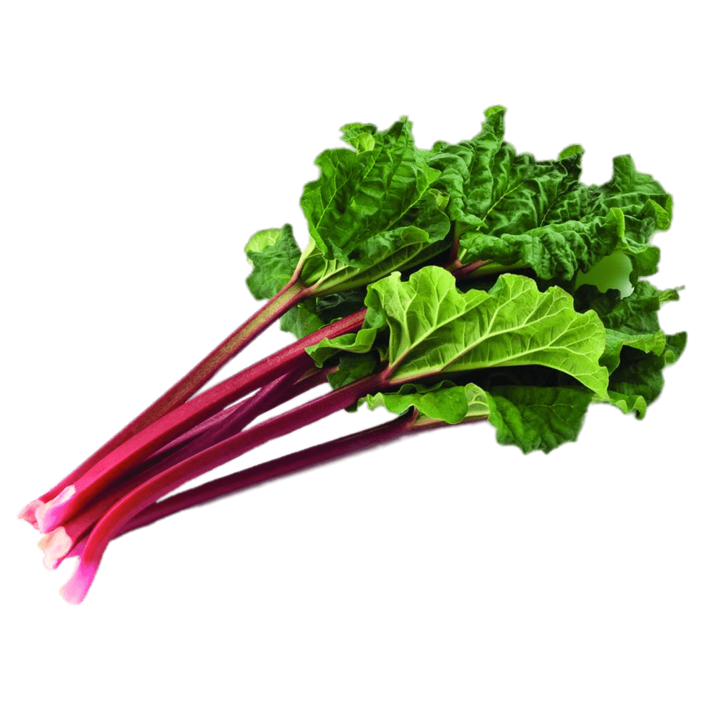 Rhubarb PNG HQ pngteam.com