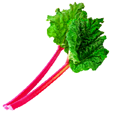 Rhubarb PNG Images pngteam.com