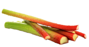 Rhubarb PNG Images pngteam.com