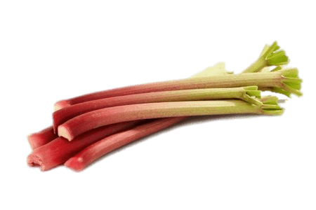 Rhubarb PNG File pngteam.com