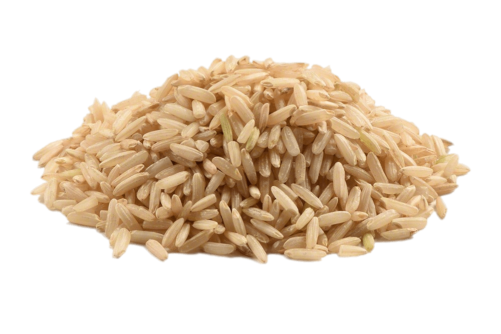 Rice PNG Image in High Definition pngteam.com