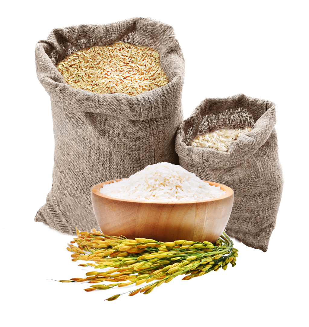 Rice PNG pngteam.com