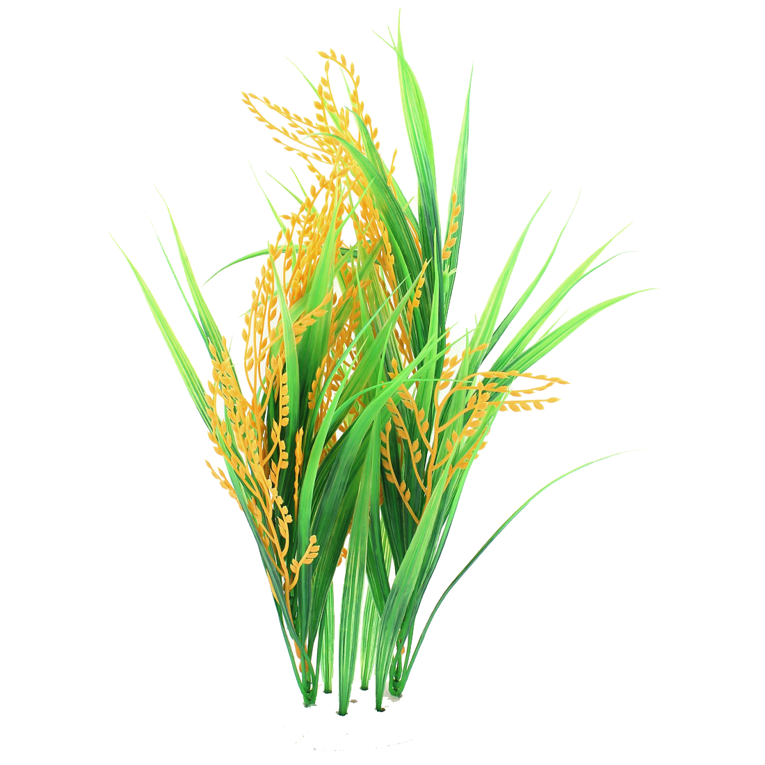 Rice PNG Image in Transparent pngteam.com