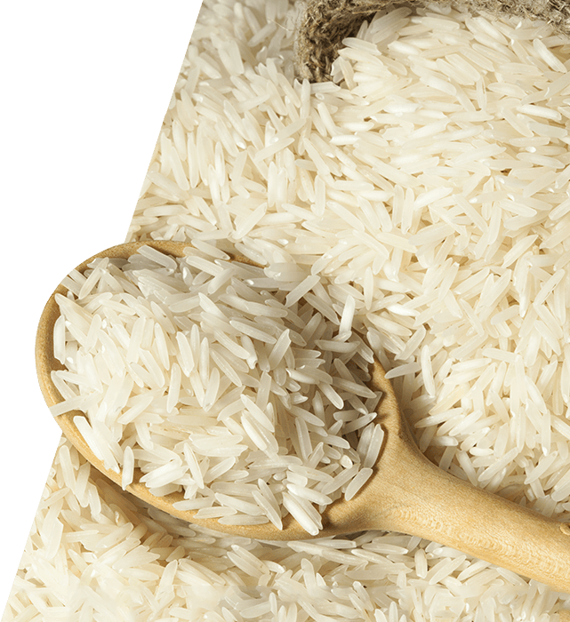 Rice PNG HD and Transparent pngteam.com