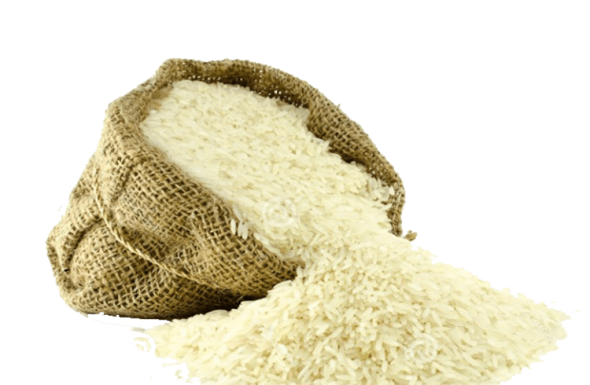 Rice PNG in Transparent pngteam.com