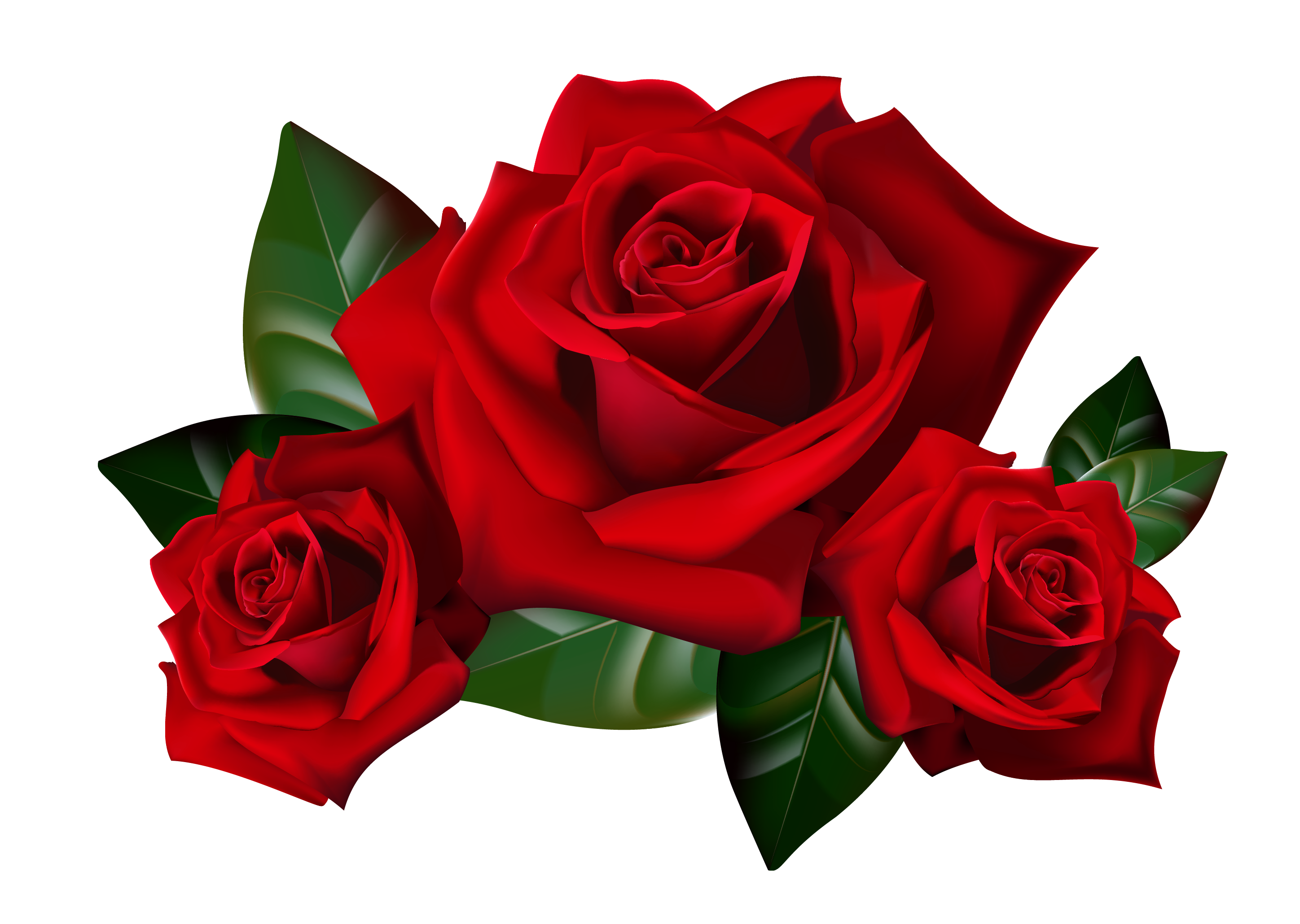 Red Roses PNG HD File - Rose Png
