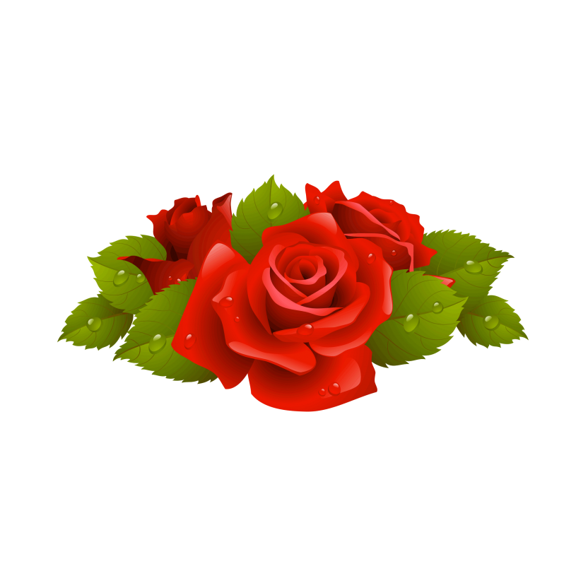 Rose PNG Transparent - Rose Png