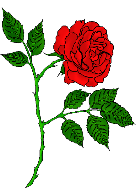 Rose Tattoo PNG HD pngteam.com