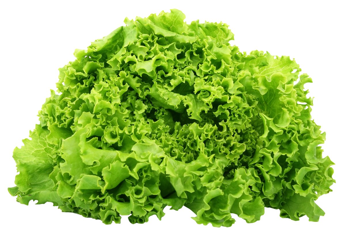 Salad PNG File pngteam.com