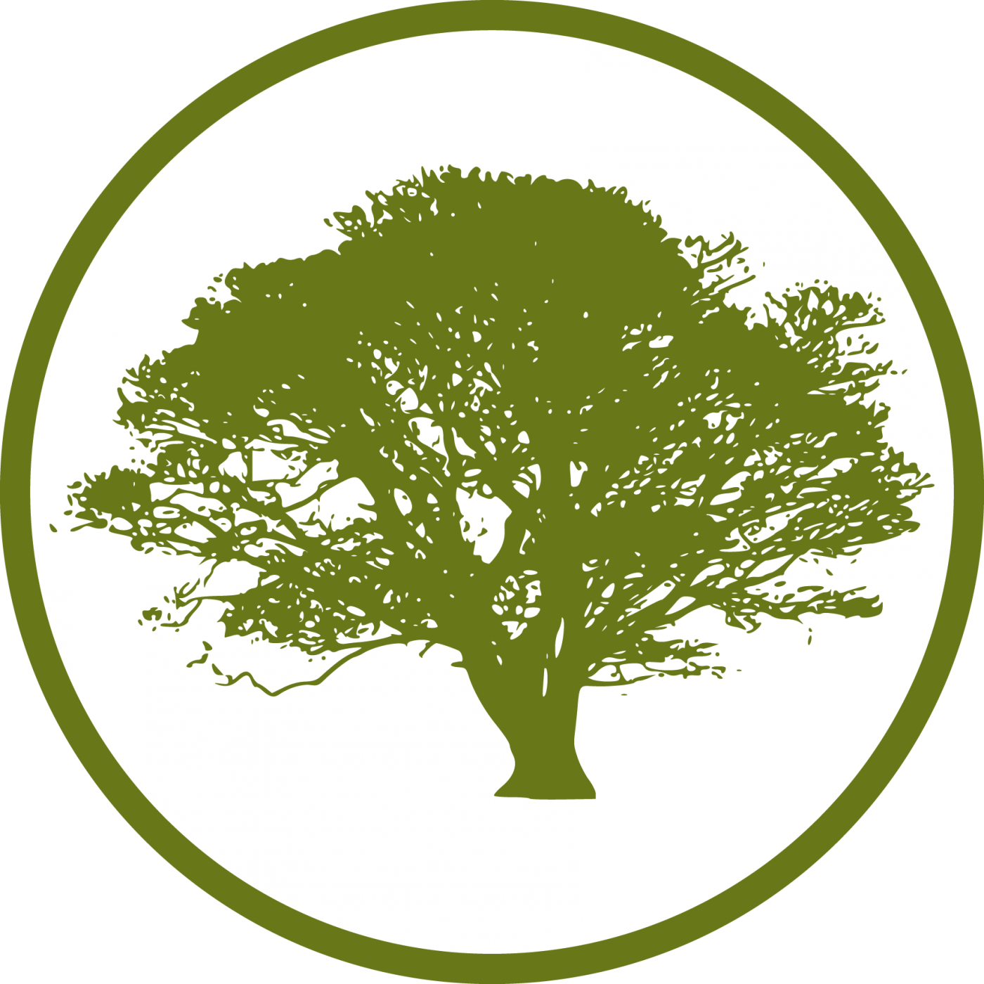 Save Tree PNG Transparent pngteam.com