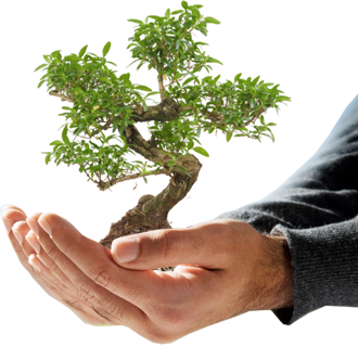 Save Tree PNG Transparent pngteam.com