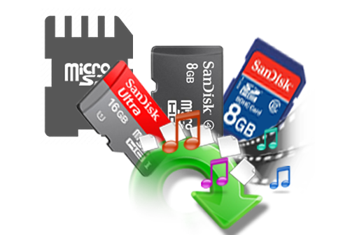 Sd Card PNG Image in Transparent - Sd Card Png