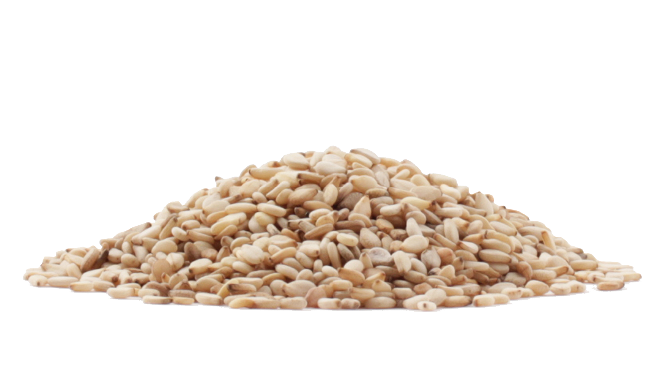 Sesame Seeds PNG File pngteam.com